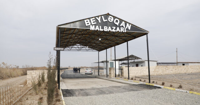 media-17682268482904319827_1200x630