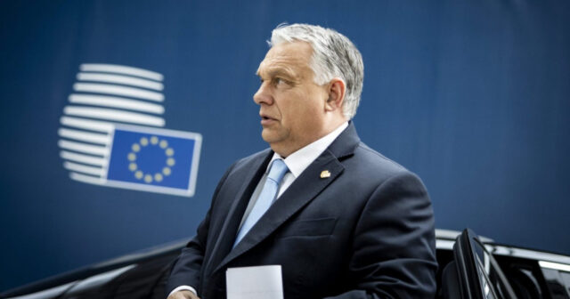 media-17685714884233649474_1200x630