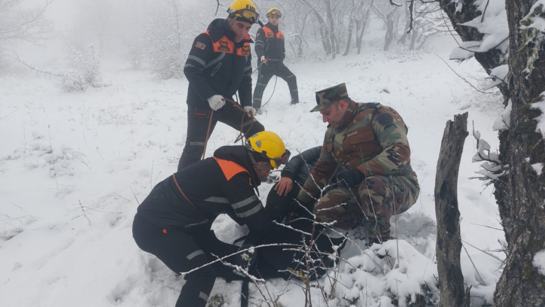 media-17687202533147916405_1200x630