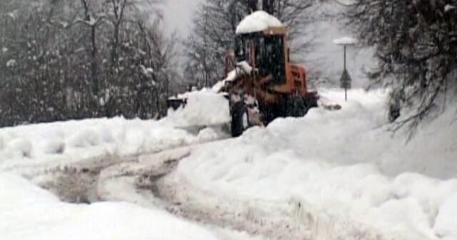 media-1768895283_lerik