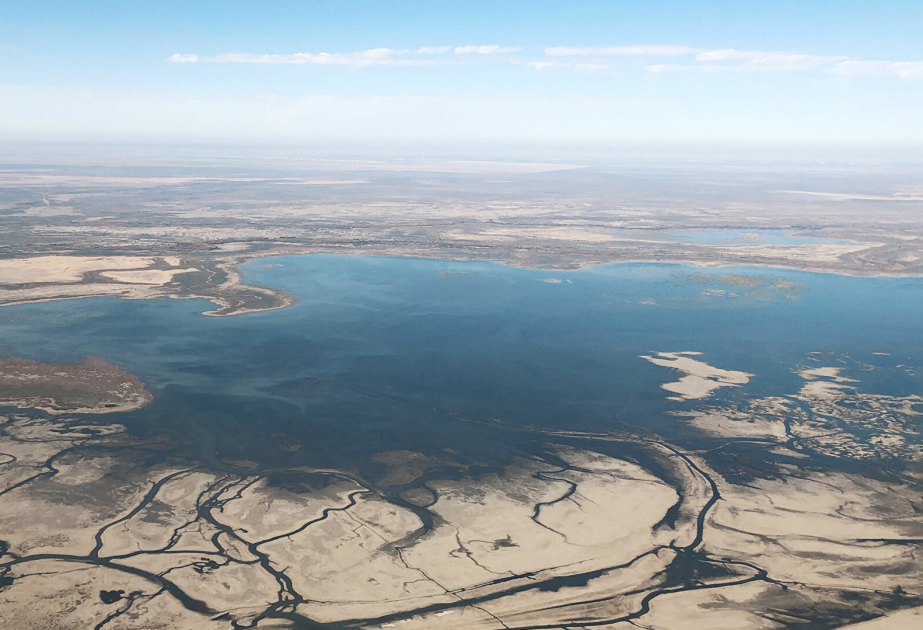 media-17688966452592132044_1200x630