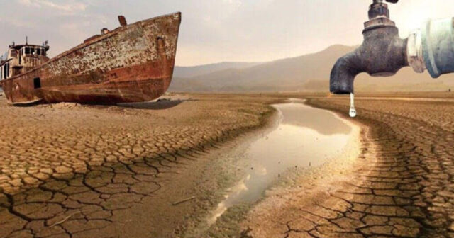 media-17690038216412717162_1200x630