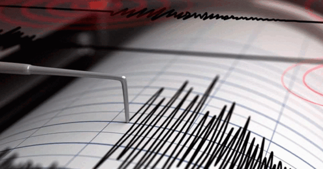 media-1769009391_1755320609-zelzeleee__1_1__3_