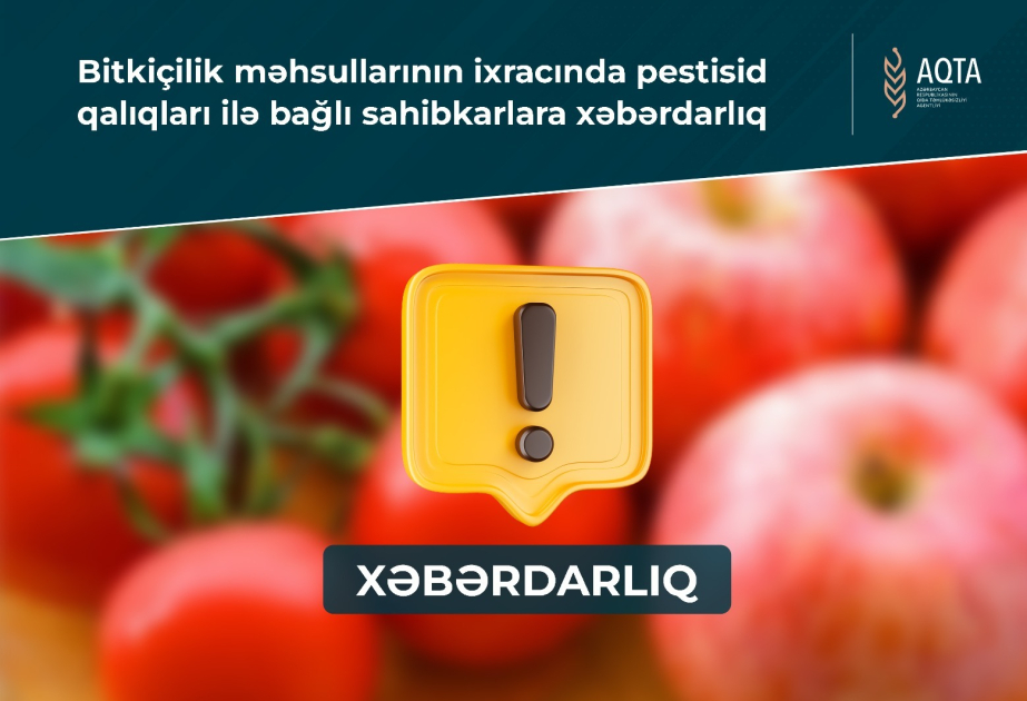 media-17690810033863832998_1200x630