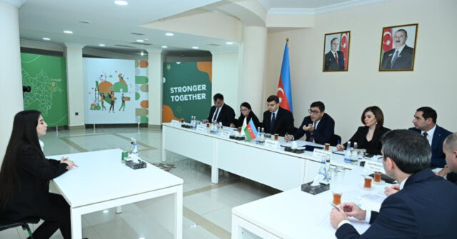 media-17691548194255911194_1200x630