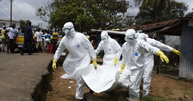 media-1769317674_920__95_3799711673