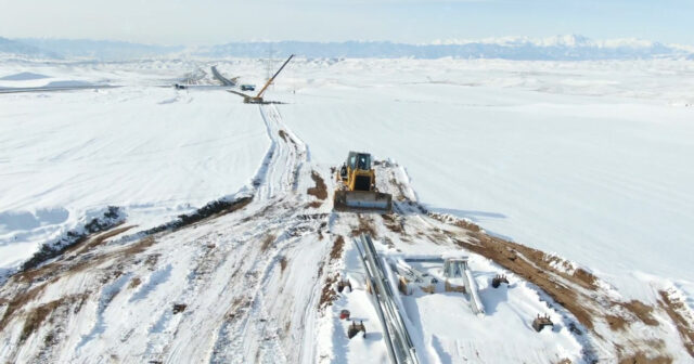 media-17696690863796614059_1200x630