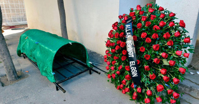 media-1769881380_a94b39e620468c904718873f1283cafd