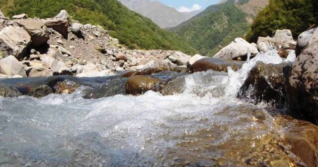 media-20190720171159_47385400