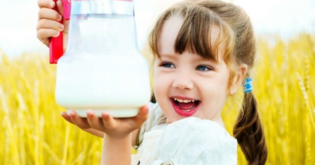 media-26ce9022-a229-451d-a86e-06e53231e727