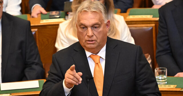 media-3195963550816d335827a52c940fee9c-1