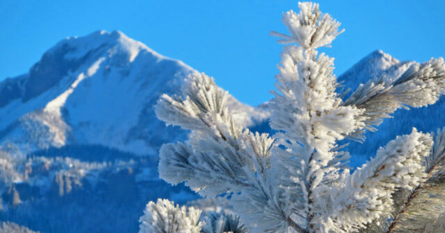 media-4-jan-2022-am-hoar-frost-and-pagosa-peak-1024x734