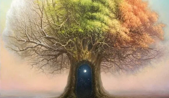 media-5613c4e91f395d0d548b4569