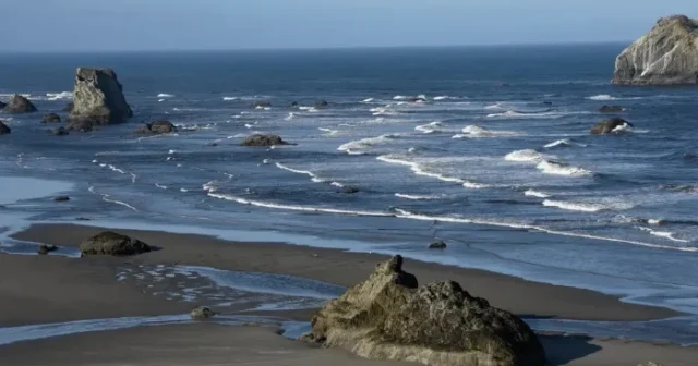 media-57445_7485599_e_updates