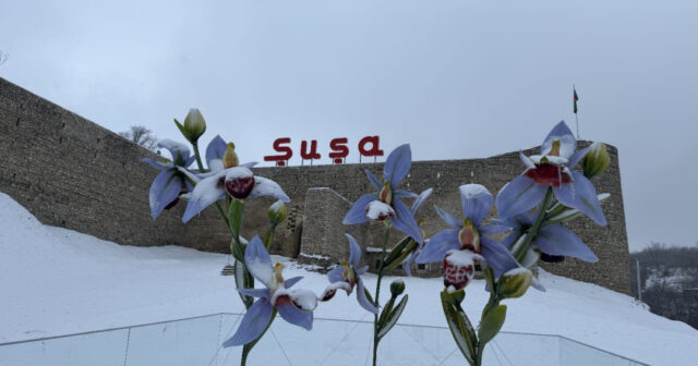 media-6fe8099d-fd3f-46fe-bbae-0b9bf3799e04