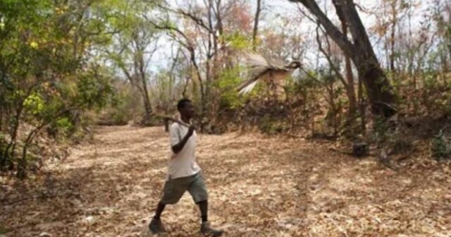 media-72a9b053-9129-4944-9208-3572133ca798