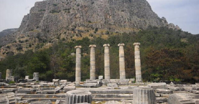 media-7b9769f4-c9ff-4f43-b13e-e711928202f5