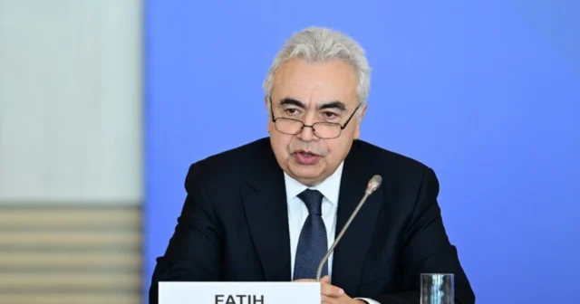 media-9b6ccf5f-679a-3622-aa2d-d7fedcde0a37_825