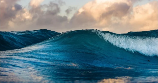 media-fotojet-2024-03-07t141840-374_1200