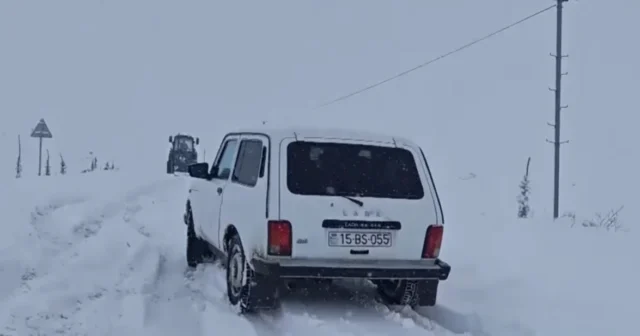 media-lpcawrkkrmwbhmj4z9b0gccnmoxcultiqheuv5do_1200