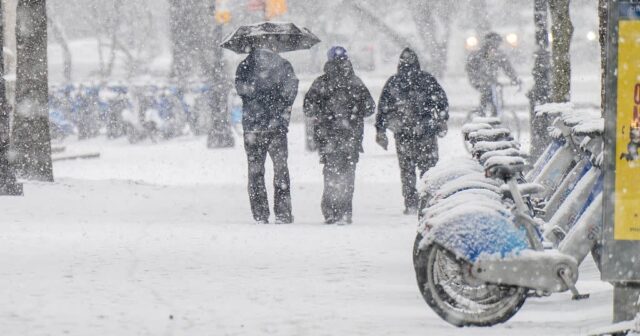 media-bf6fd581-3418-4b39-b955-27d77e4e55f0