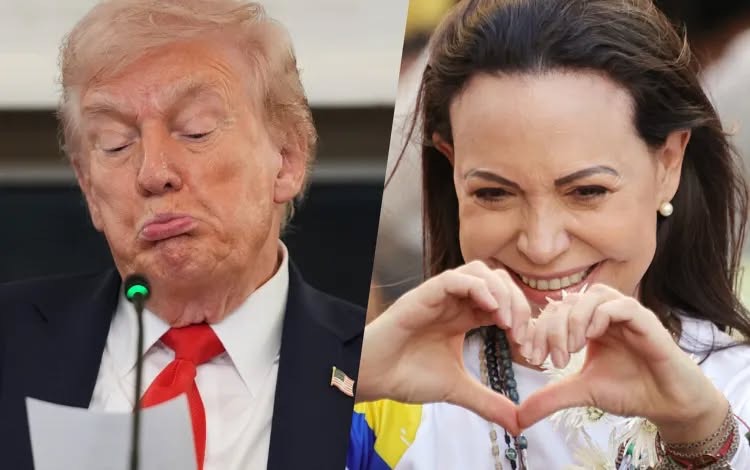 media-d37fed75-018b-4297-8298-6a6d6c76e7d8