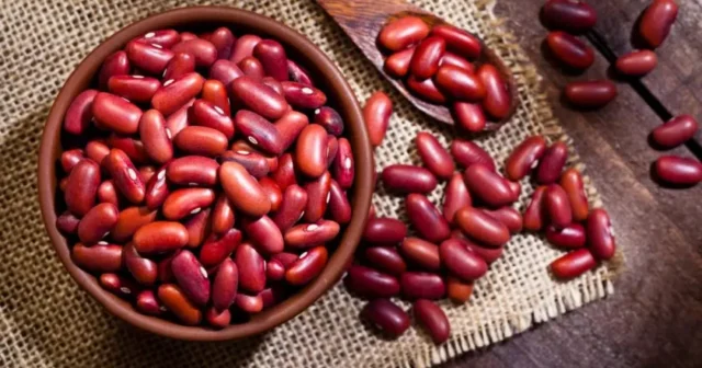 media-d6959accf73c848742a2554add012d74