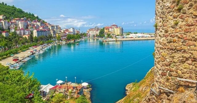 media-f3680695-0c9f-4876-ab31-d53b28997ac1