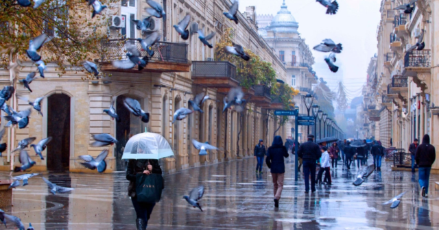 media-hava-fevral-yagis