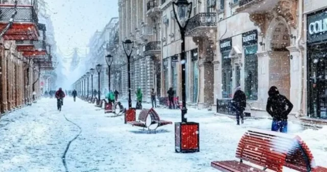 media-image_870x_675d24494721e