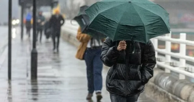 media-image_940x_6818551fd8f74