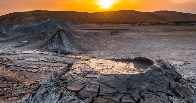 media-img_6077_1760164832_1769785008