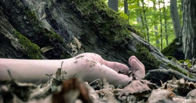 media-meyitmese-768x403