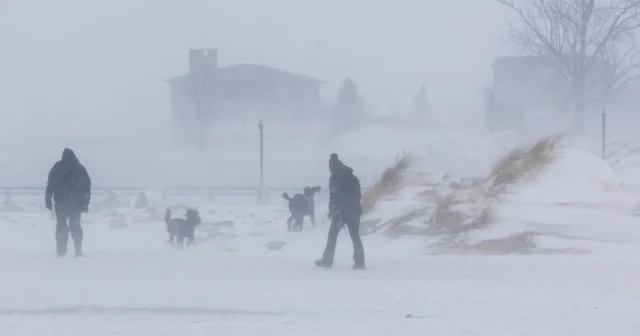 media-people-walk-dogs-grand-haven-1052689397