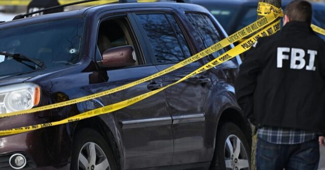 media-photo_5402225443215183428_w