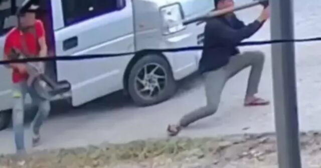 media-photo_5456350213057483268_w