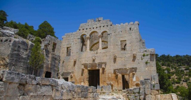 media-photo_5463144451887795427_y