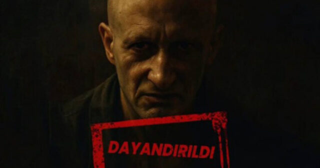 media-rehimov-768x403