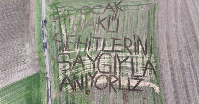 media-thumbs_b_c_c0add4e4d921098764a605f3c5f8b225