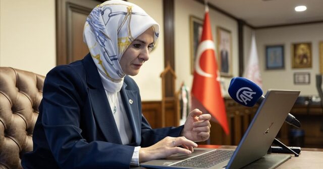 media-thumbs_b_c_ea8544f750279d2759fd2705c1898684