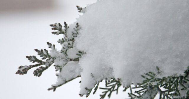 media-trend_baku_snow_240221_11