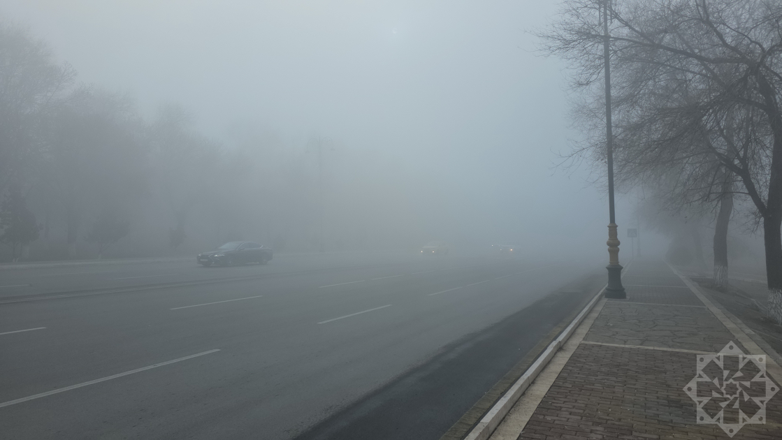 media-w_161768119623431024080_1200x630