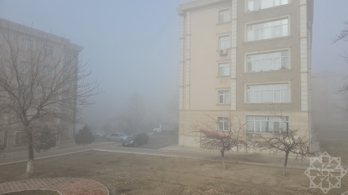 media-w_1617681196245089628855_1200x630