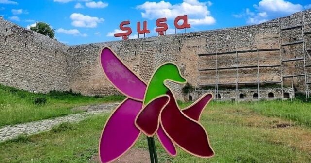 media-015e3193162339203129673418110289170