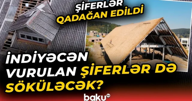 media-0aiz5f4887qebi61mamlbjtugkdfafttsyipclg5_1200