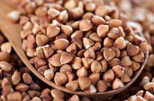 media-106314541_2678045279132638_5395047503094208103_n