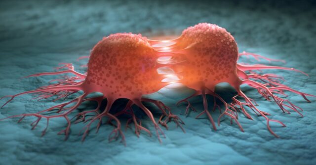 media-_110790731_gettyimages-1180568434