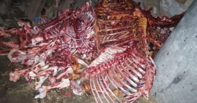 media-12faaff7-27ab-39f1-9f90-93c8078a5d05_850-768x403