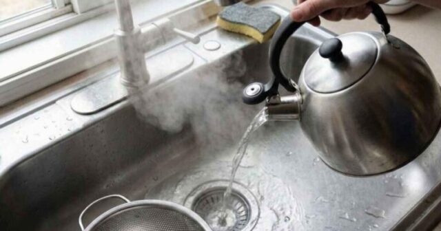 media-1316503-768x403