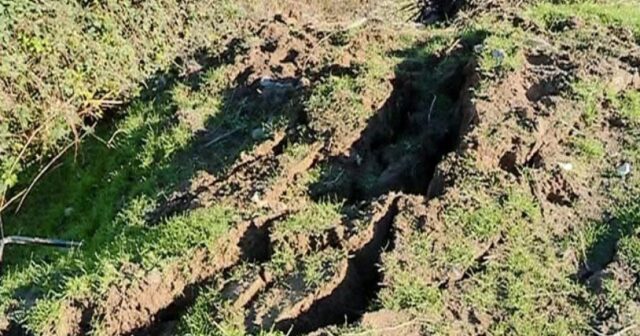 media-14829107643505534532_1200x630